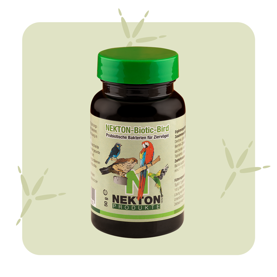 NEKTON-Biotic-Bird NEKTON-Biotic-Bird