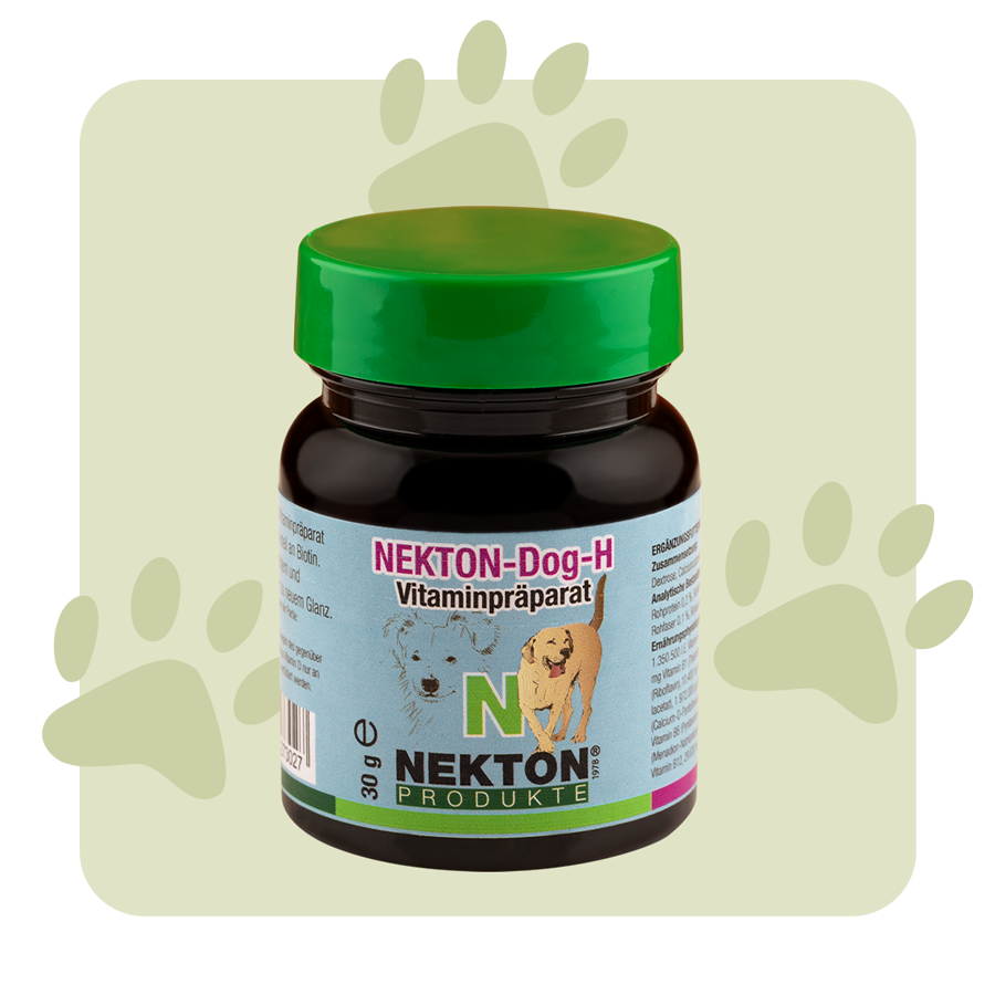 NEKTON-Dog-H NEKTON-Dog-H