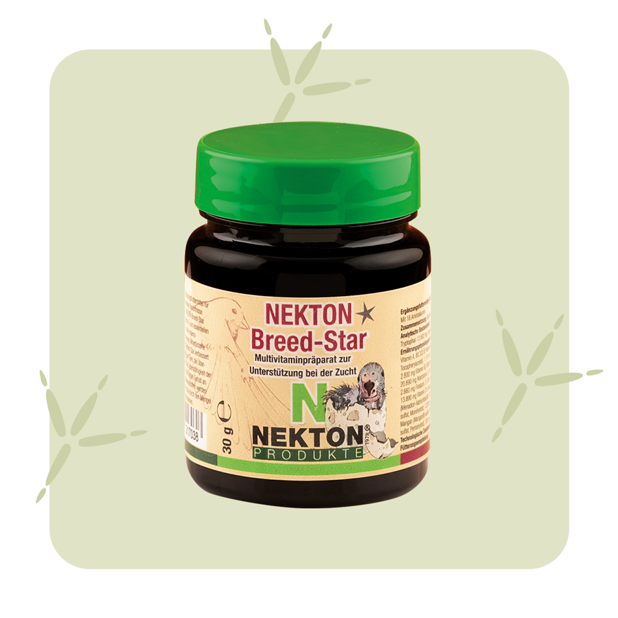 NEKTON-Breed-Star NEKTON-Breed-Star