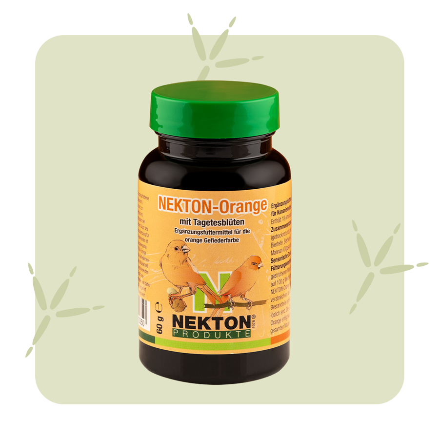NEKTON-Orange NEKTON-Orange