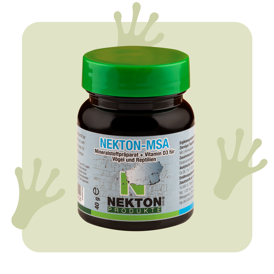 NEKTON-MSA NEKTON-MSA
