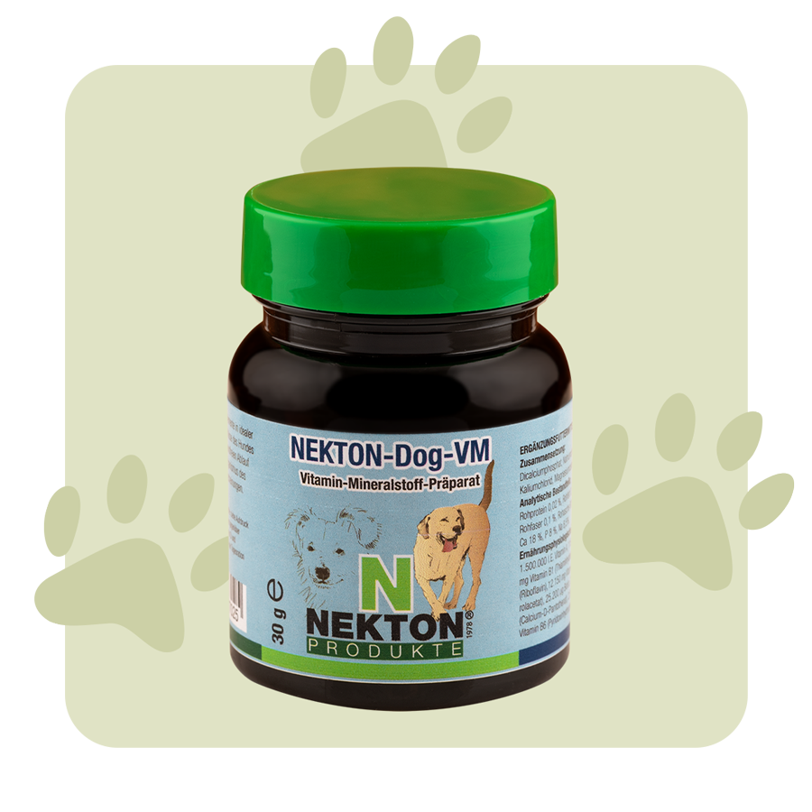 NEKTON-Dog-VM NEKTON-Dog-VM