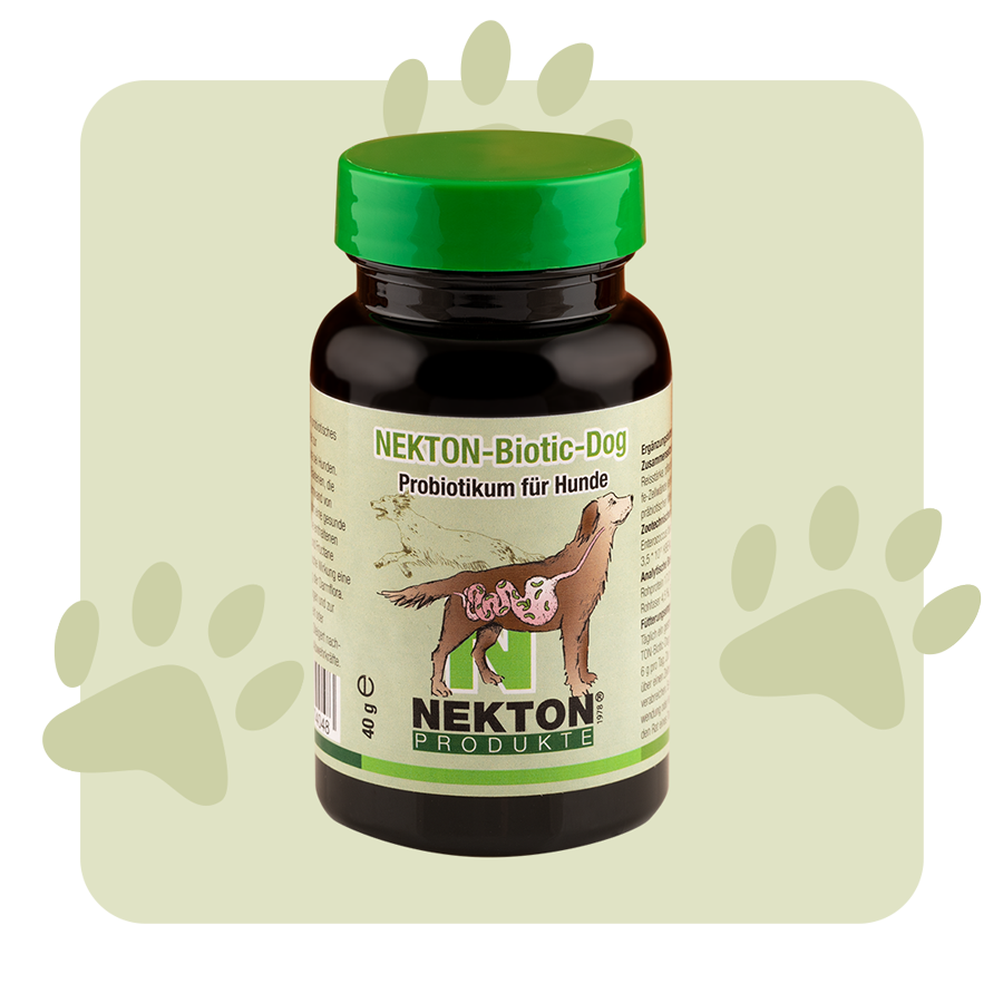NEKTON-Biotic-Dog NEKTON-Biotic-Dog