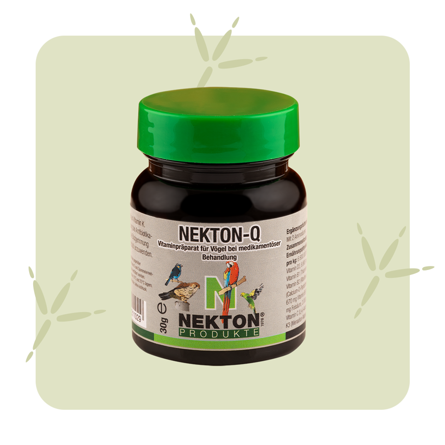 NEKTON-Q NEKTON-Q