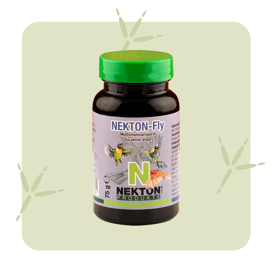 NEKTON-Fly NEKTON-Fly