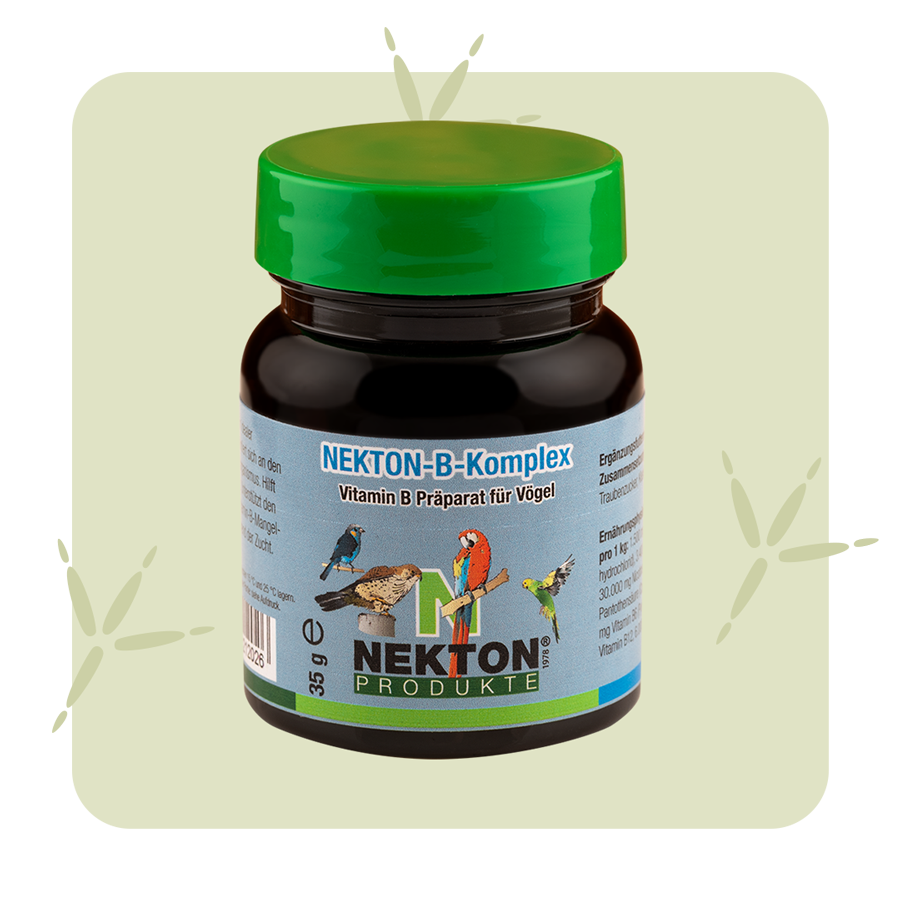 NEKTON-B-Komplex NEKTON-B-Komplex