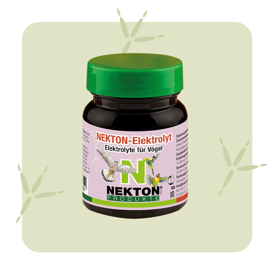 NEKTON-Elektrolyt NEKTON-Elektrolyt